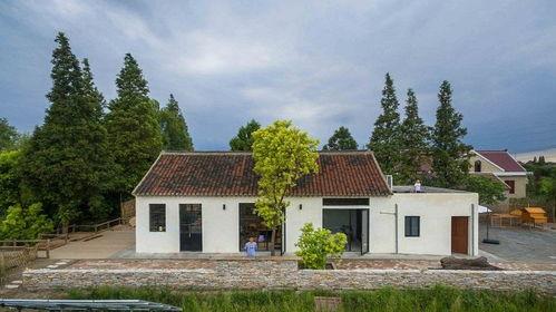 农村老田最新爆料,最新爆料背后的惊人真相