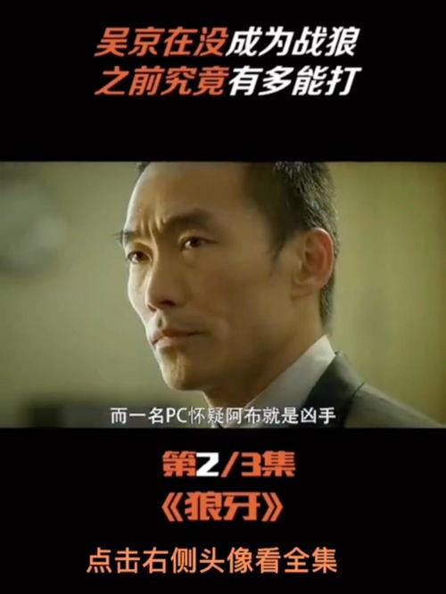 狼牙2在线观看,巅峰对决，复仇之路！