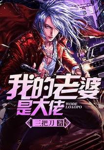 我的老婆是大佬在线观看,在线观看，揭秘神秘妻子的非凡人生