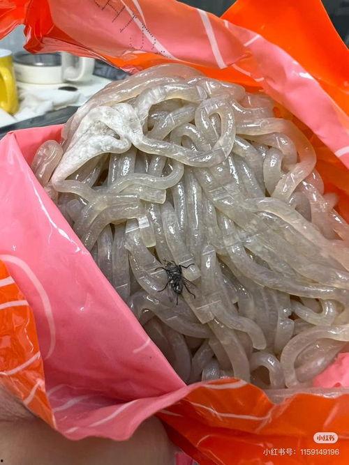 粉条爆料视频大全集最新,揭秘幕后真相，带你走进食品安全世界