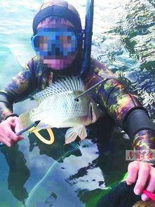 鱼爆料的视频大全最新