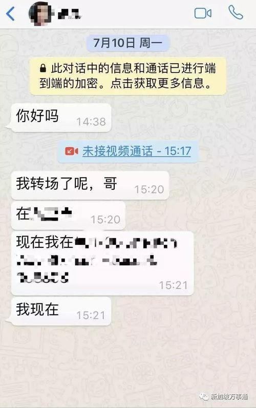 爆料新加坡花场视频在线观看,一场视觉盛宴的在线直播