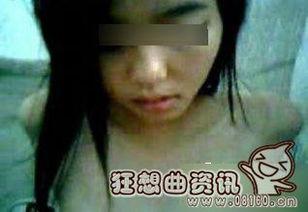 各种门视频在线观看,热门门类视频在线观看指南