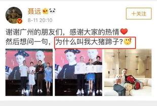 圈内爆料杨紫恋情视频,甜蜜互动引网友热议