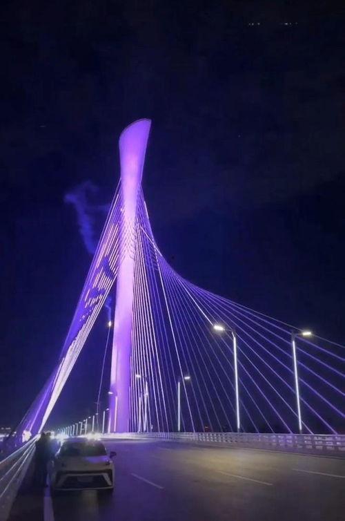 石家庄大桥爆料视频播放,揭秘工程背后真相