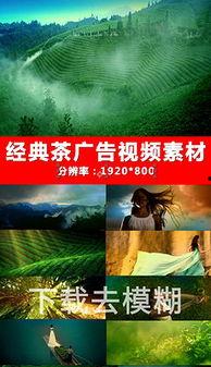茶叶爆料视频素材大全下载,揭秘视频素材大全中的茶叶奥秘