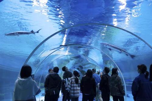 水底世界爆料视频大全最新,水底世界爆料视频大全精彩回顾